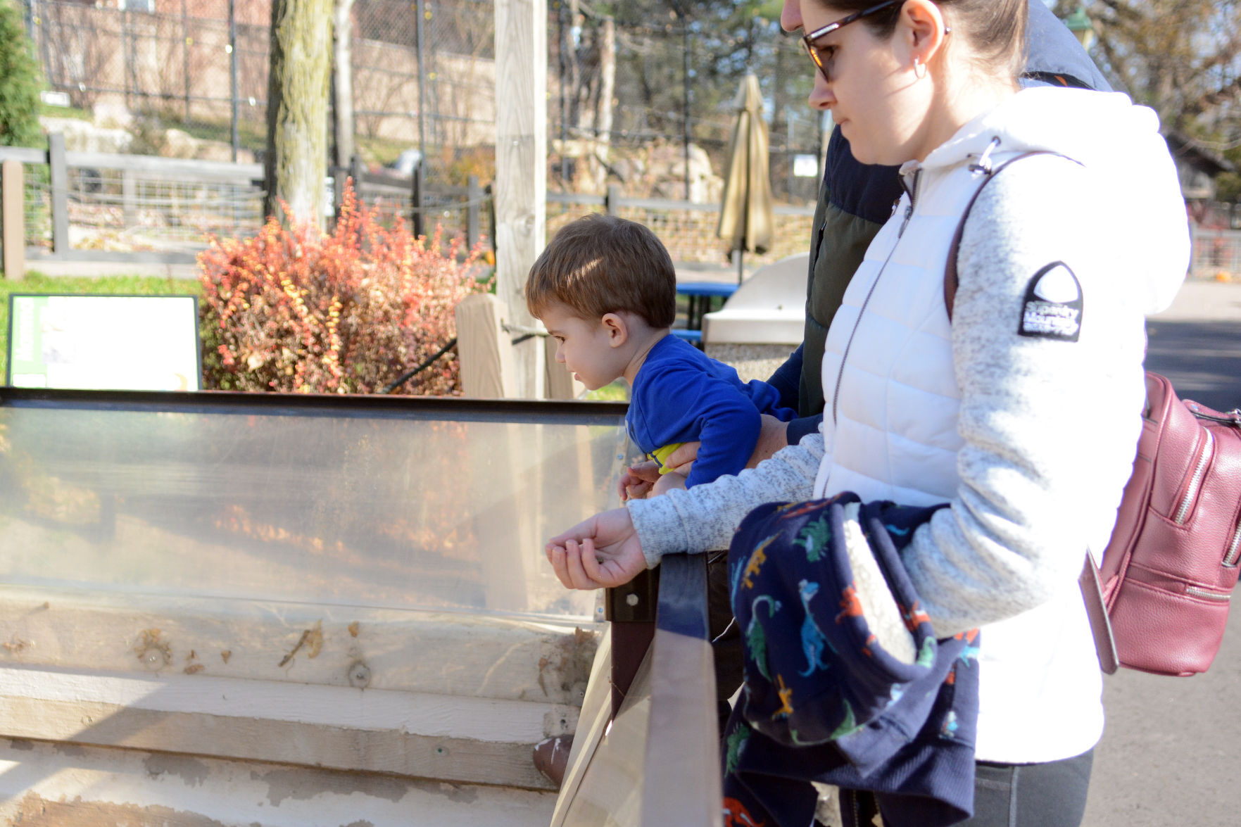 Scenes from Baraboo's Ochsner Park Zoo, Nov. 7, 2020